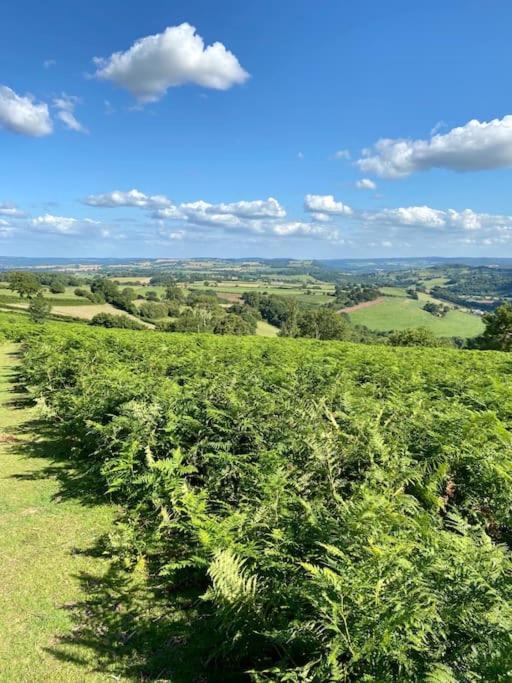 The Cider House Holiday Cottage Welsh Newton Common Exteriér fotografie